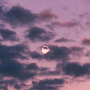 边吮奶边做爰视频真人
